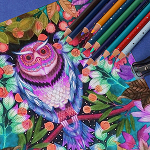 Arrtx 72 Colored Pencils Artist Grade Drawing Pencils