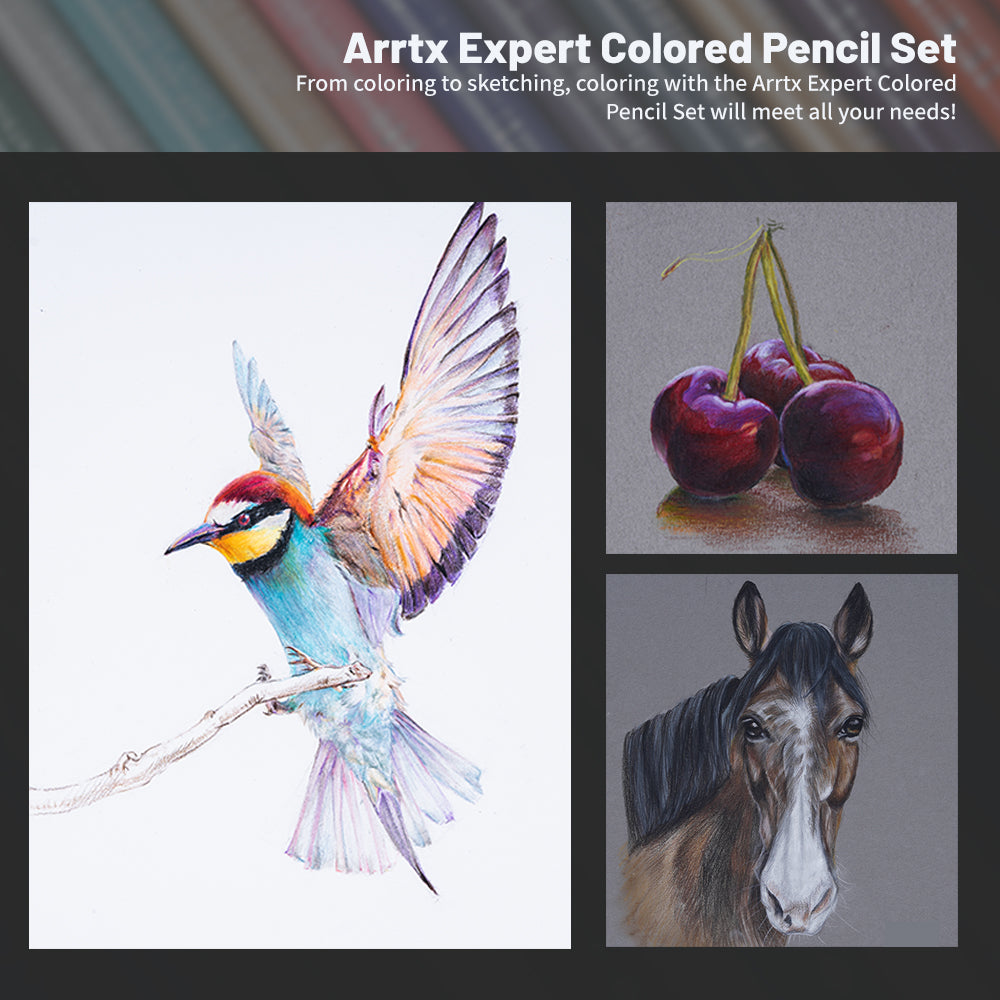 Arrtx Artist 72 Colored Pencils Set, Premium Soft Core Colored Leads for  Professional, Beginners, Adult Coloring Books, Sketch Shading 